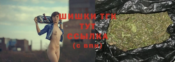 шишки Краснотурьинск