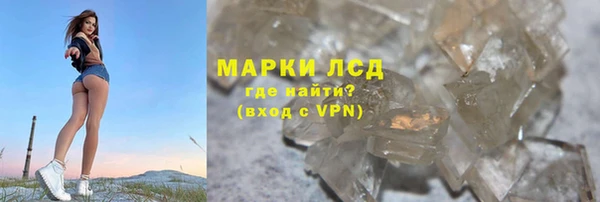 СК Краснослободск