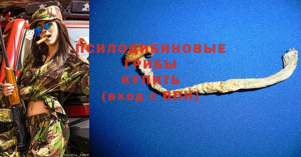 шишки Краснотурьинск
