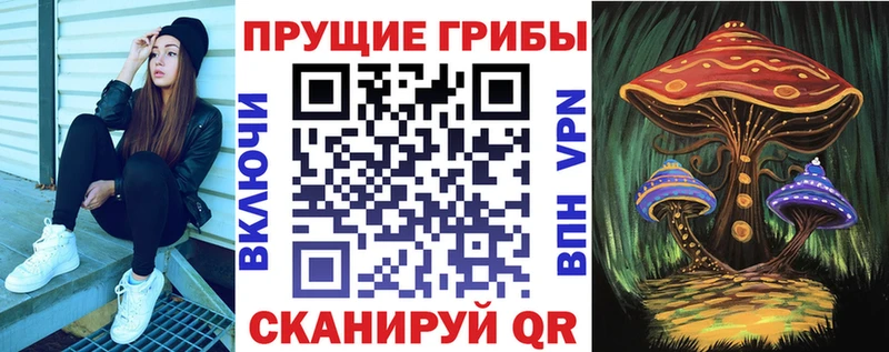 Псилоцибиновые грибы Psilocybine cubensis  Купить  Бодайбо 